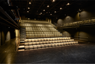 Opening of Sejong S Theater